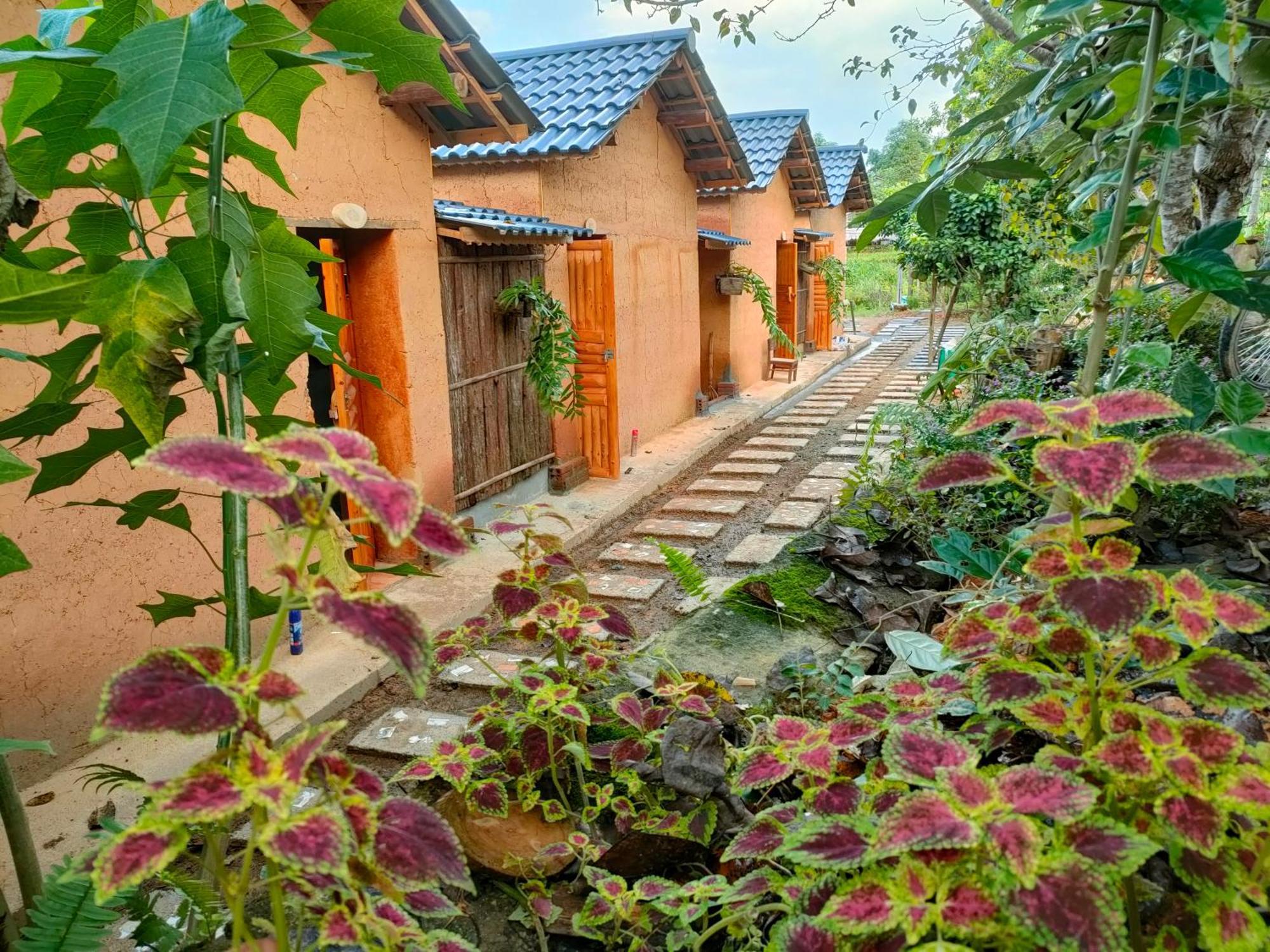 Ly Danh Homestay Quan Ba Room photo